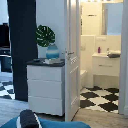 Brookwood Sniadeckich Apartament
