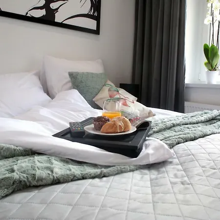 Brookwood Sniadeckich Apartment