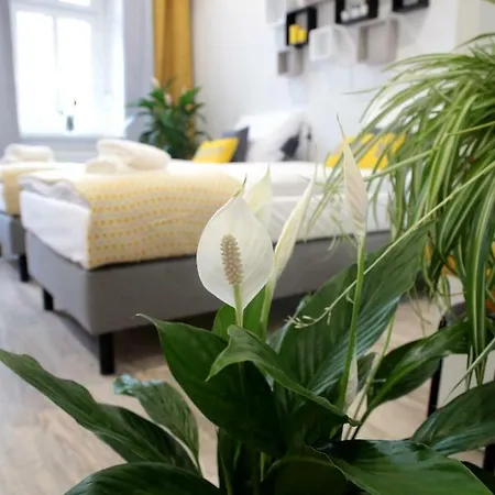 Brookwood Sniadeckich Apartament *